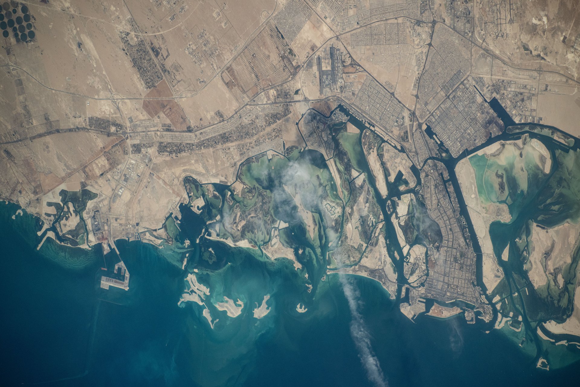 Learn more about Abu Dhabi Mangrove Restoration