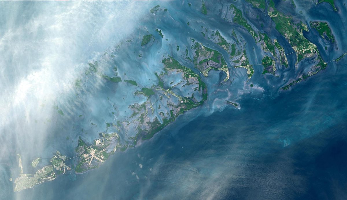 Learn more about Coral Restoration Foundation