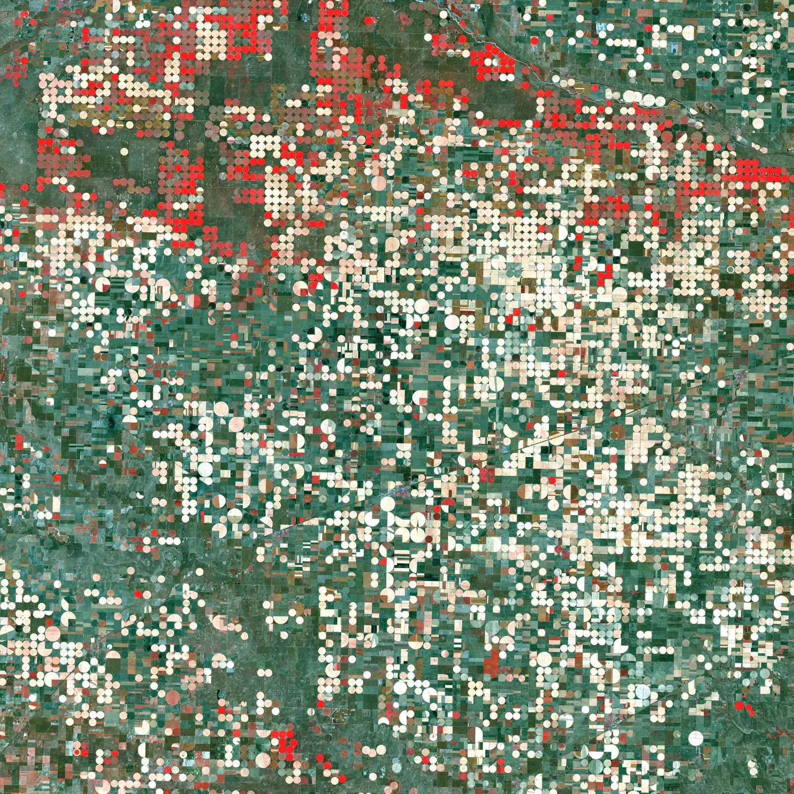 Red circles of irrigated crops near Garden City, Kansas, in a false-color Landsat 7 image