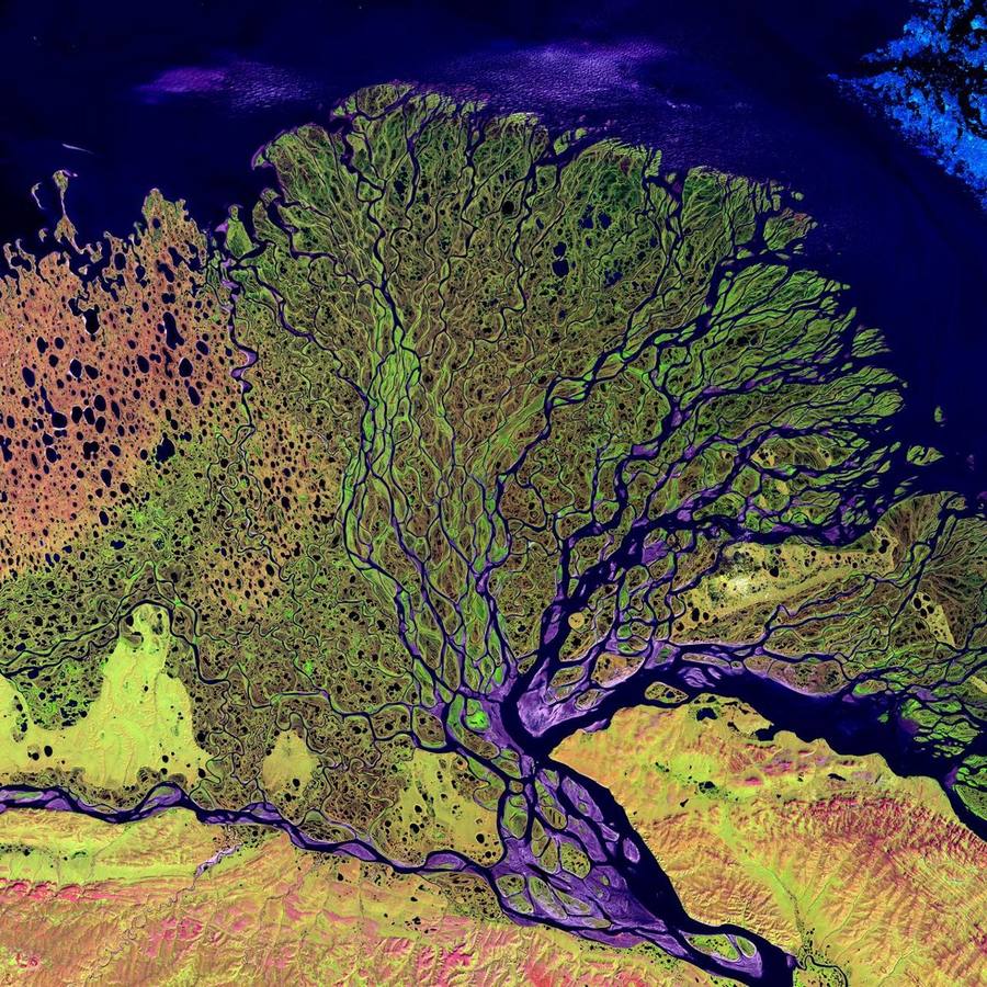 Vue Landsat du delta de la Lena, avec des centaines de chenaux se ramifiant vers la mer