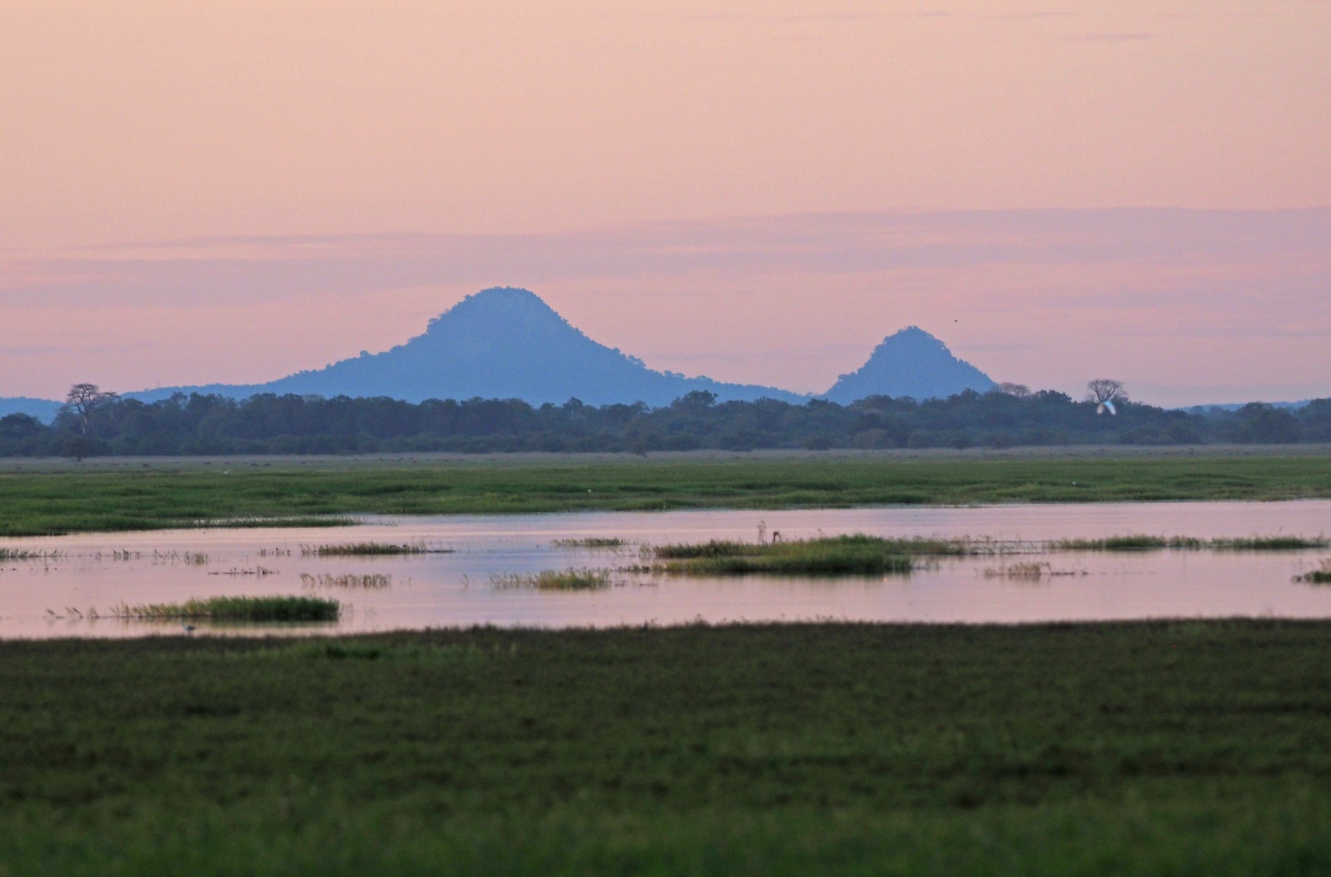 Donate to Gorongosa