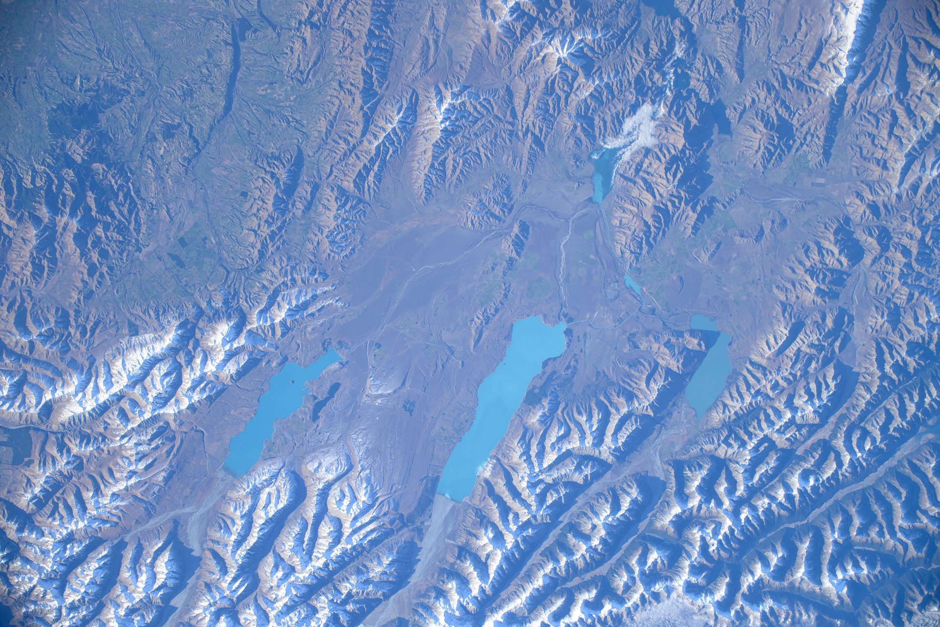 Learn more about Predator Free 2050 (New Zealand)