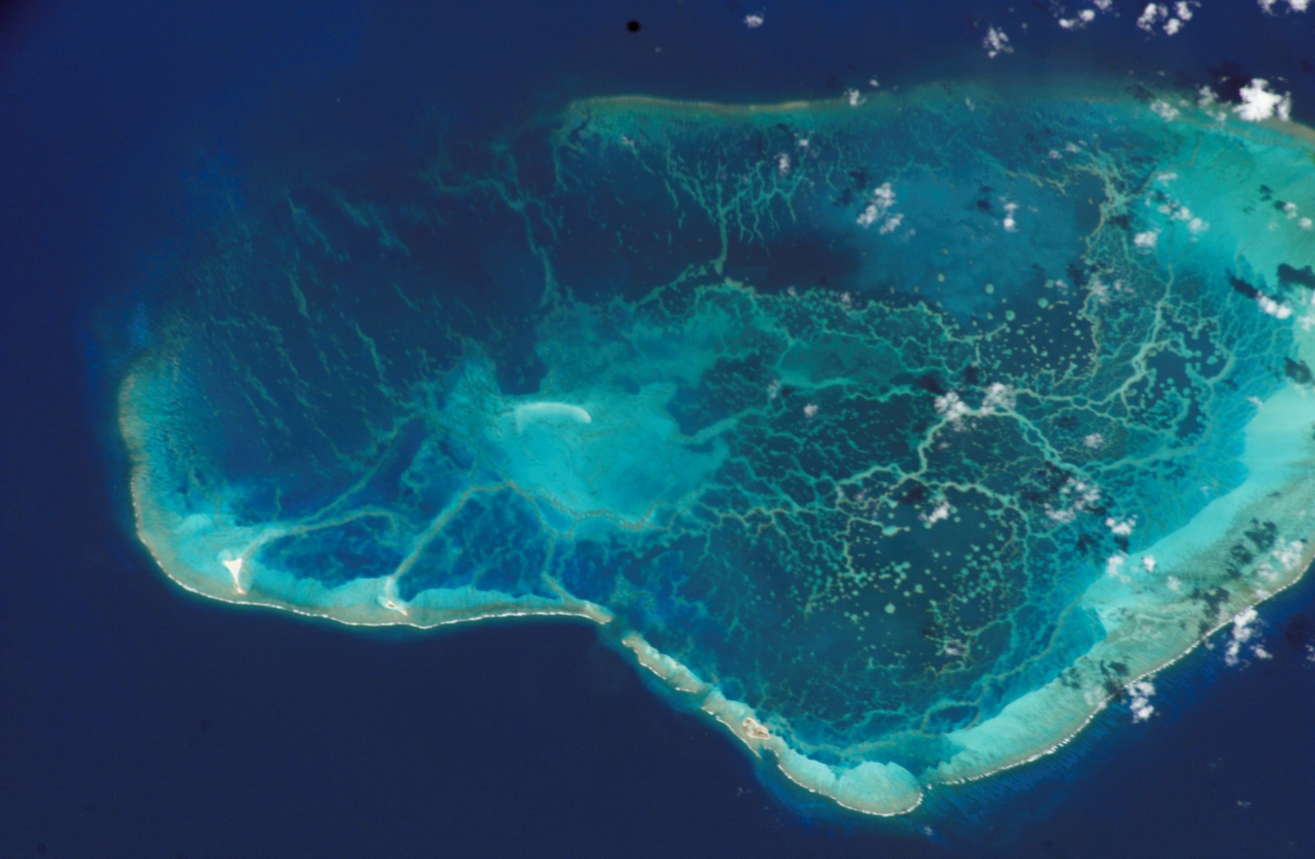 Donate to Papahānaumokuākea