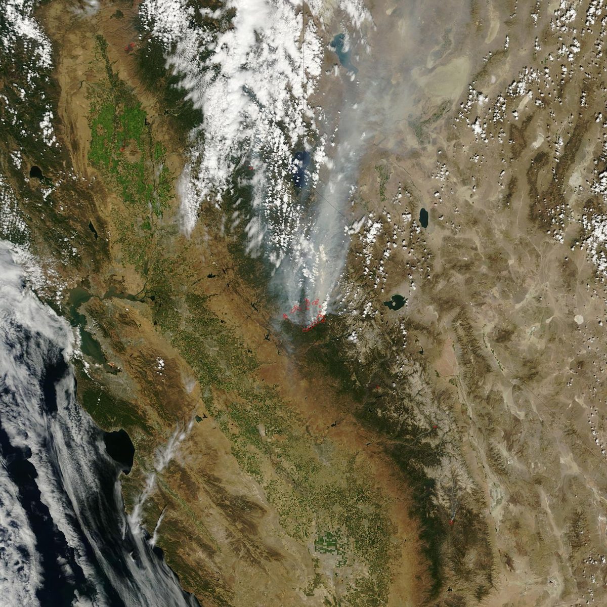 Donate to Earth Fire Alliance