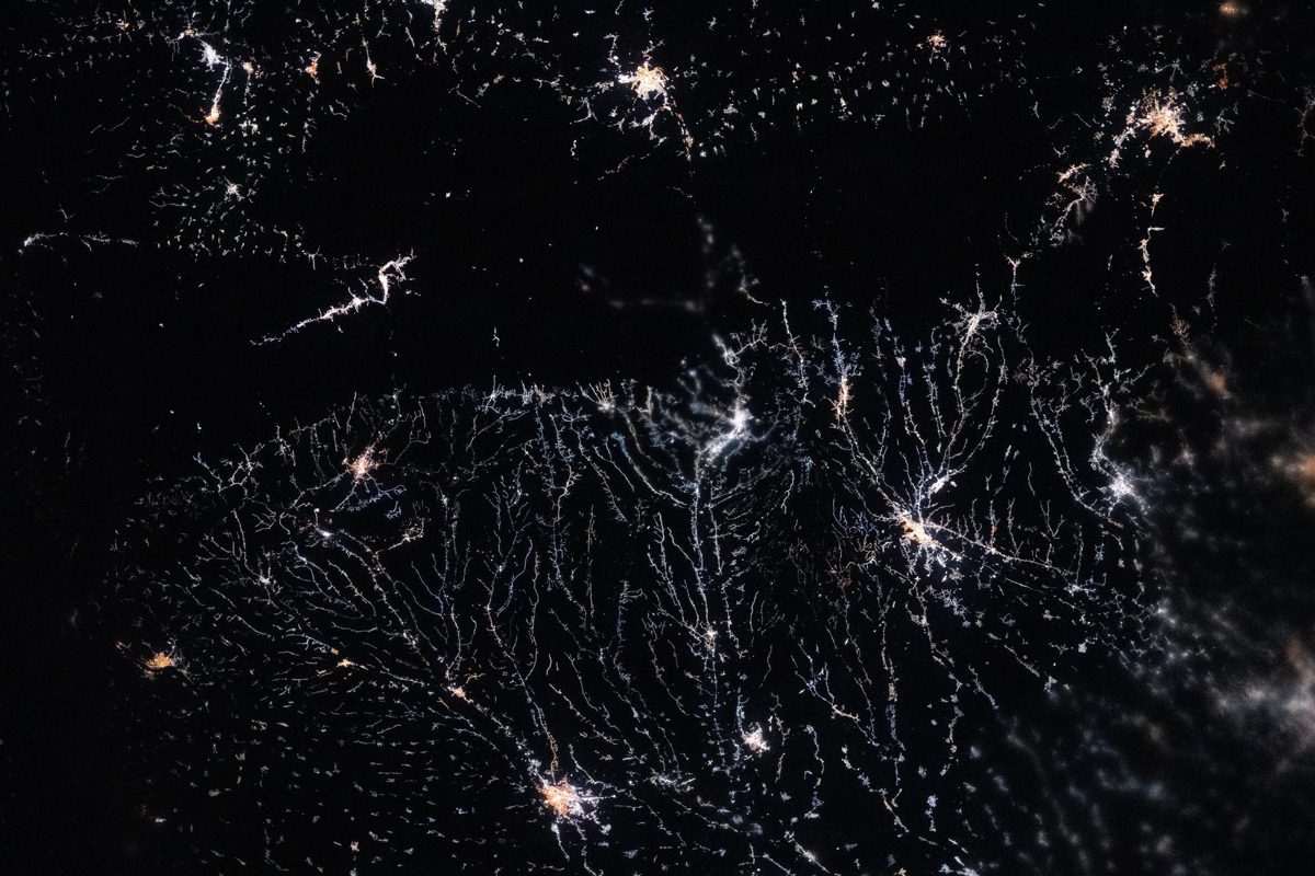 Learn more about Globe at Night (NSF NOIRLab)