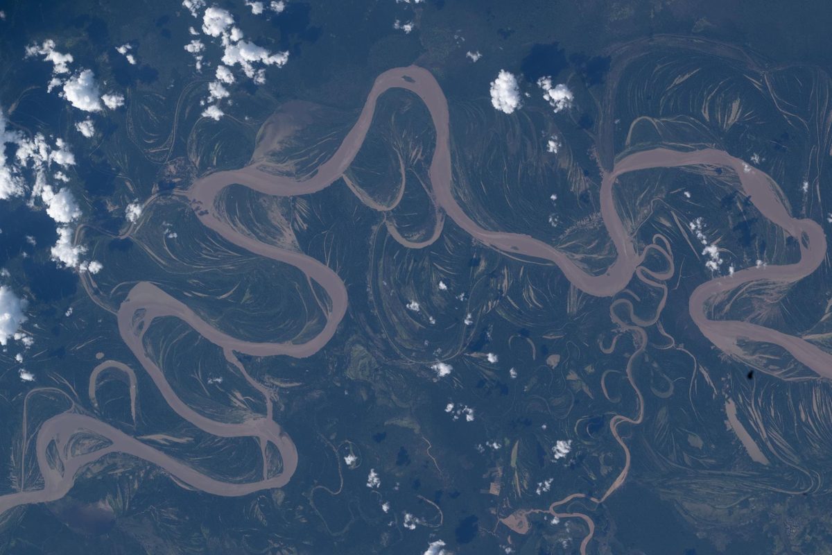 Ríos sinuosos a través de la selva, vistos desde la Estación Espacial Internacional